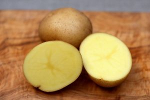 Adretta Kartoffel