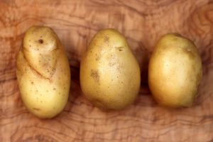 Axenia Kartoffeln