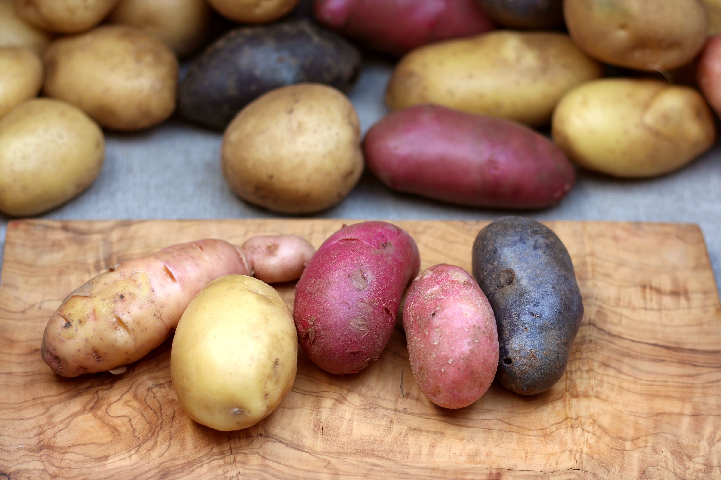 Bunte-Kartoffeln-2 – Hof Möllering