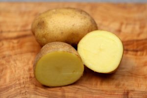 Hansa Kartoffel